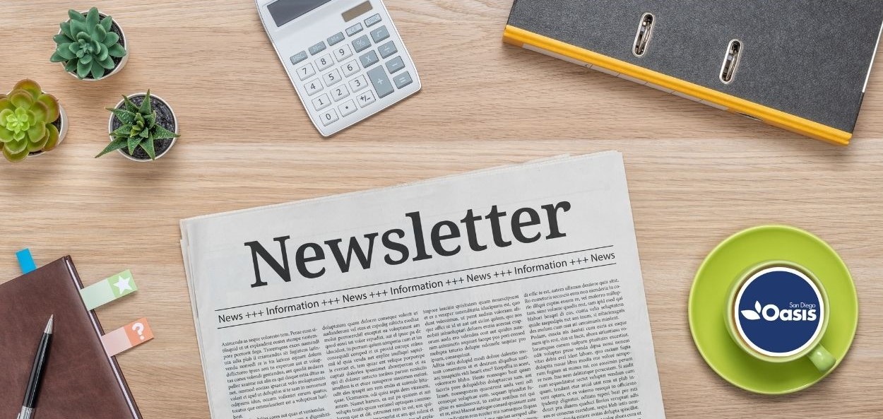 Website post image (1250 x 833 px) – Newsletter Newsletter Image
